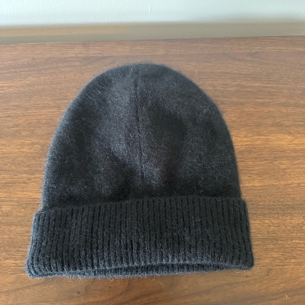 Aritzia Babaton Black Axel Beanie